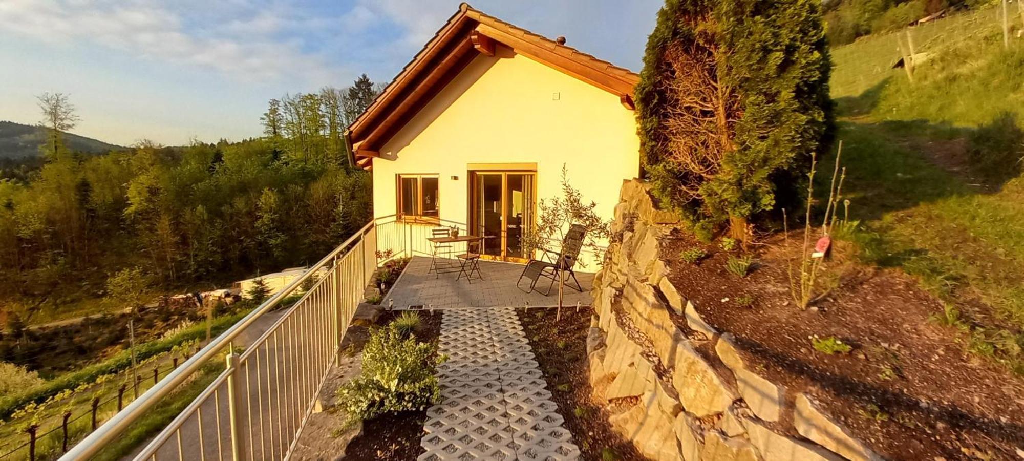 Schwarzwaldglueck Apartment Oberkirch  Exterior photo
